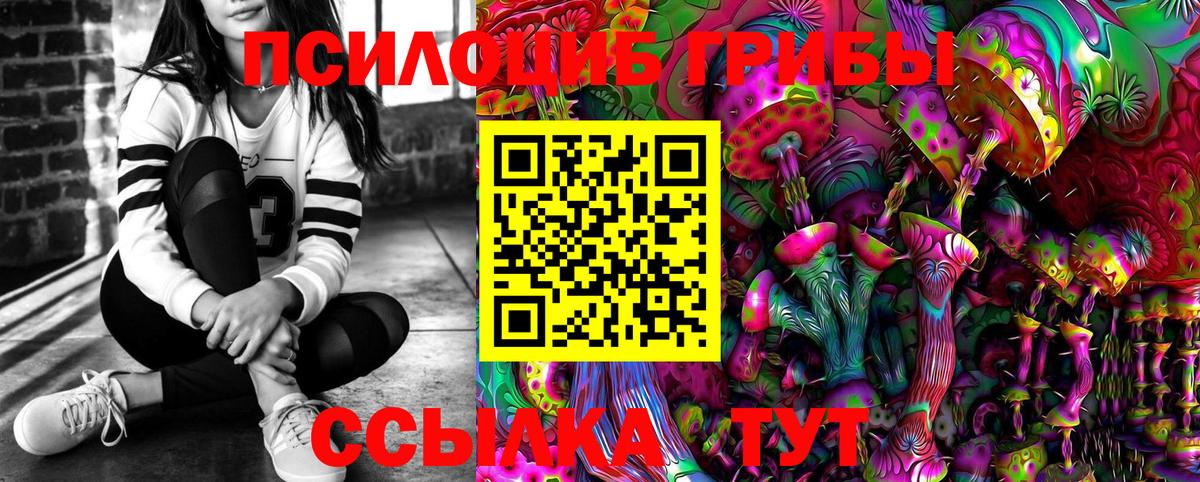 Галлюциногенные грибы Psilocybe Псков