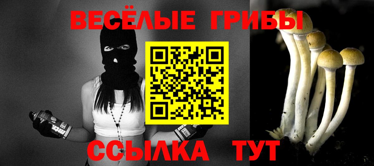 Псилоцибиновые грибы Psilocybine cubensis  Галлюциногенные грибы Magic Shrooms  Вход с VPN  Псков 